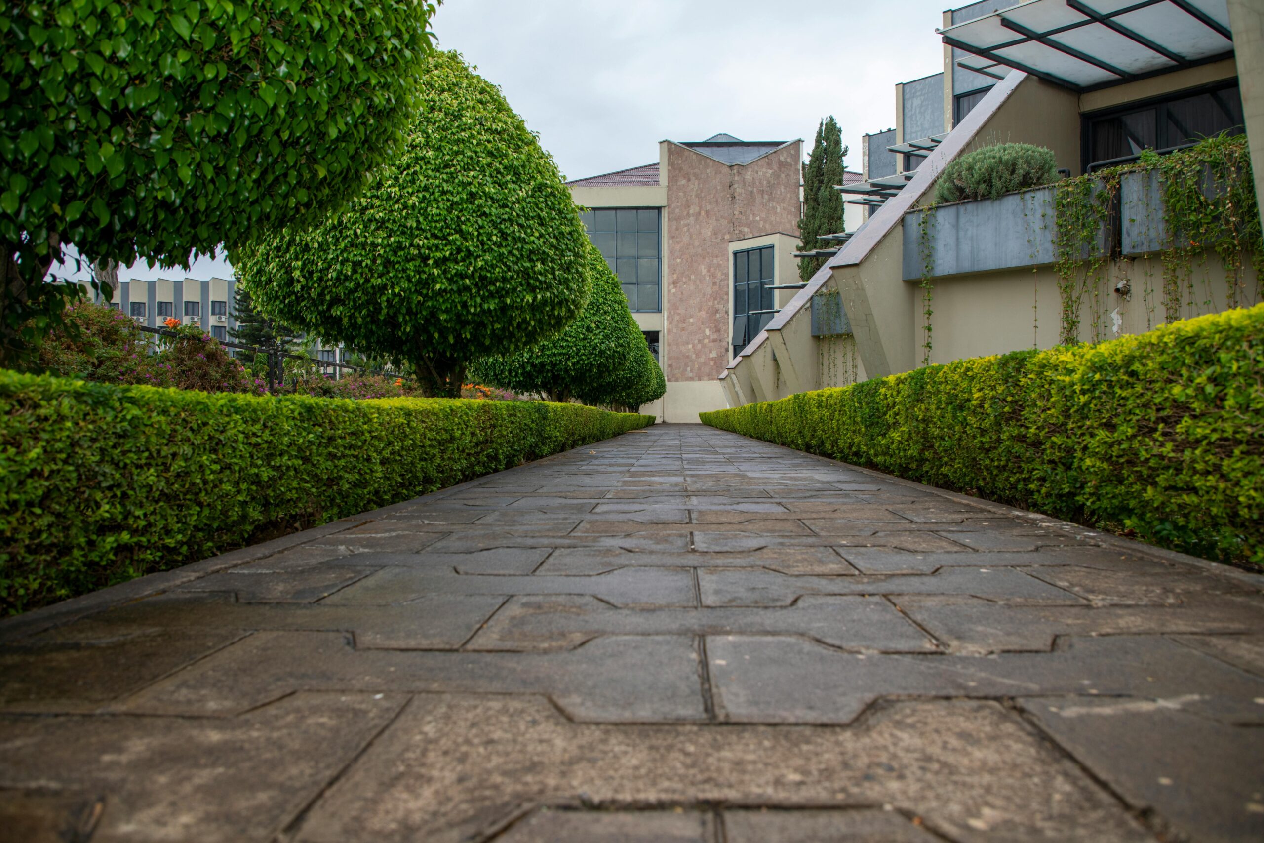 landscape design